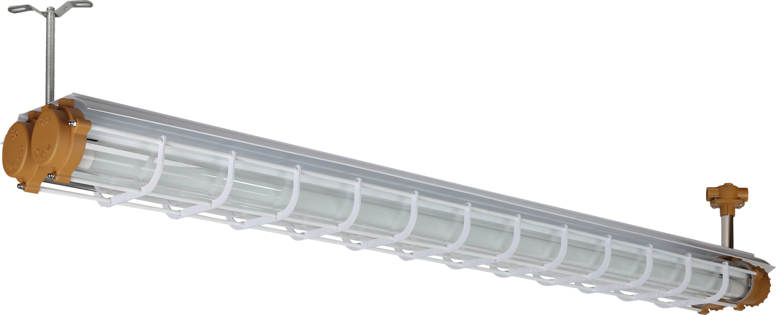 Fluorescent Lights - 图片 2