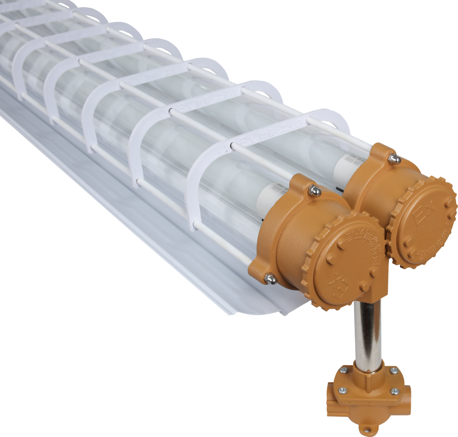 Fluorescent Lights - 图片 6