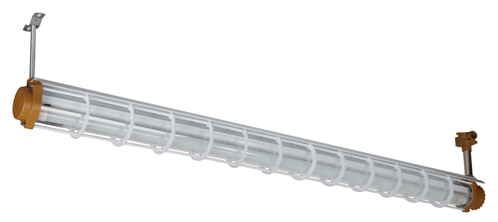 Fluorescent Lights - 图片 4