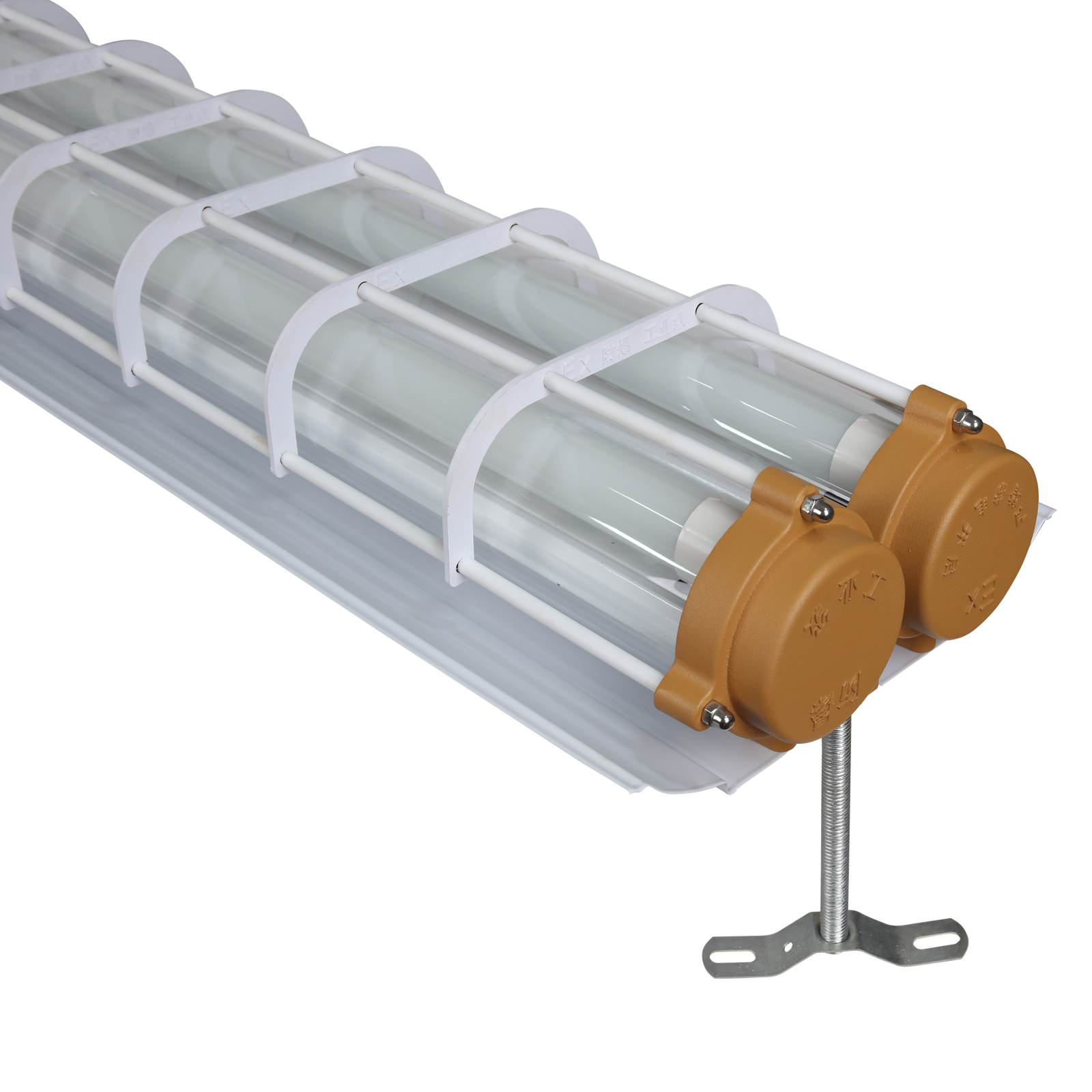 Fluorescent Lights - 图片 5