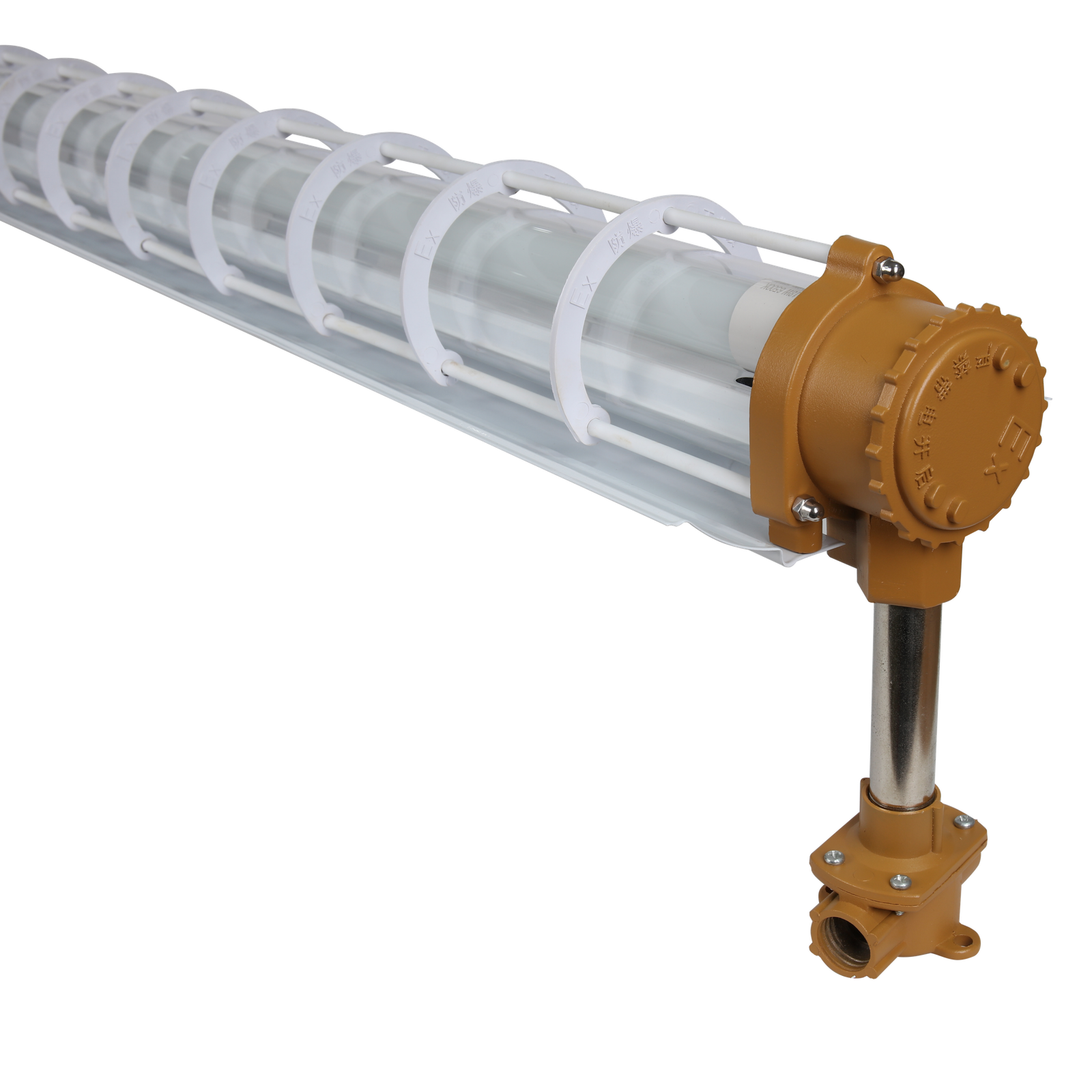 Fluorescent Lights - 图片 3