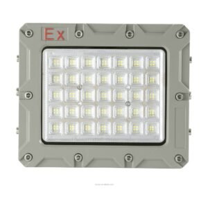 Explosion-proof LED flood light product image