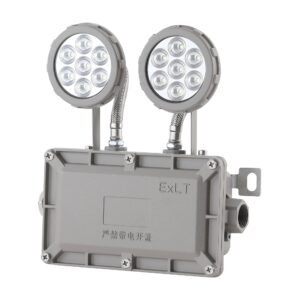 Explosion-proof Double Head Emergency LED Light IP66 Flameproof Safety Exit Emergency Lamp for Chemical Plant Gas Station Hazardous Area