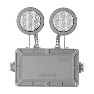 Explosion-proof Double Head Emergency LED Light IP66 Flameproof Safety Exit Emergency Lamp for Chemical Plant Gas Station Hazardous Area