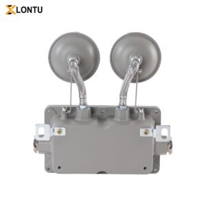 Explosion-proof Double Head Emergency LED Light IP66 Flameproof Safety Exit Emergency Lamp for Chemical Plant Gas Station Hazardous Area