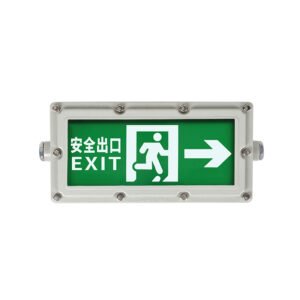 LONTU ATEX Explosion Proof Emergency Exit Sign Light, IP66 safety indicator lamp for hazardous chemical factory warehouse evacuation
