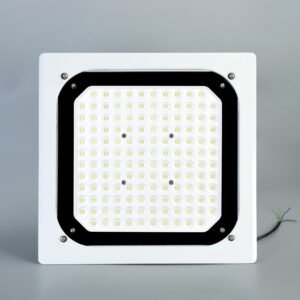 Front view LED chip layout of ATEX IECEx Explosion Proof LED Gas Station Canopy Light, IP66 recessed petrol filling station ceiling lamp