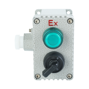 Explosion-proof Button Switch Selector Die Cast Aluminum IP66 Flameproof Control Station Box for Chemical Oil Gas Hazardous Industrial Area