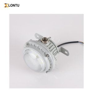 Explosion-proof Ceiling Work Light with 150W Power Ex e IIC T6
