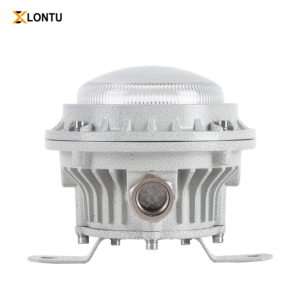 Explosion-proof Ceiling Work Light 50W Ex d IIC T6