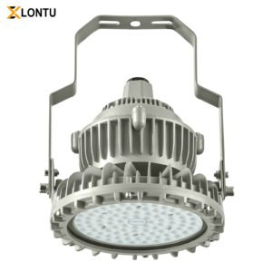 Round LED Explosion Proof High Bay Light Die Cast Aluminum IP66 Industrial Hazardous Area Lighting for Factory Warehouse Chemical Plant